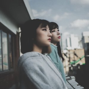 MDD 的头像