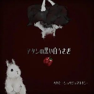 My black white rabbit