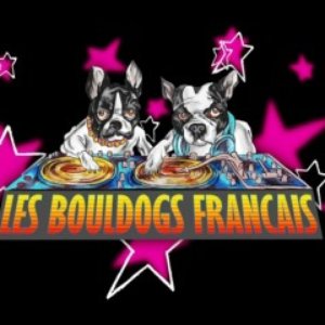 LES BOULDOGS FRANCAIS のアバター