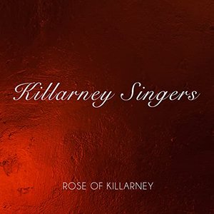 Rose of Killarney