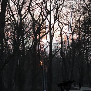 A Faint Signal From A Distant Field 的头像