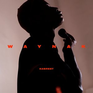 Waynak - Single