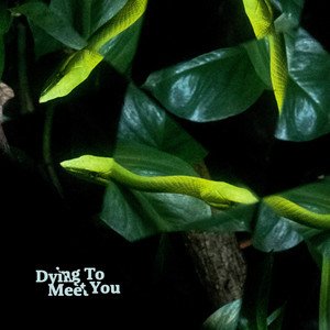 Dying To Meet You [Explicit]
