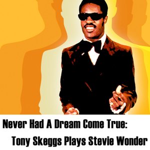Never Had A Dream Come True: Tony Skeggs Plays Stevie Wonder