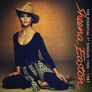 The Essential 7" Singles 1980-1987