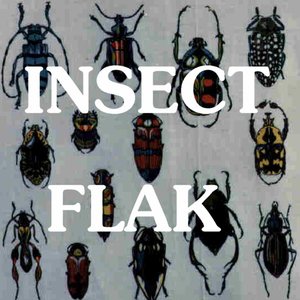 Avatar for Insect Flak