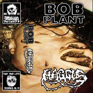 Bob Plant / Haggus