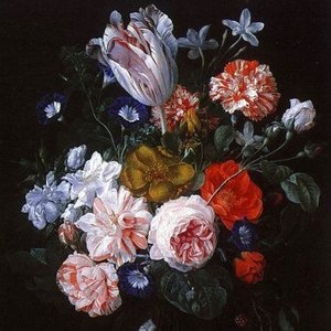 Blossum 的头像