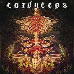Cordyceps