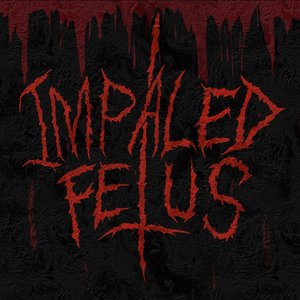 Image for 'Impaled Fetus'