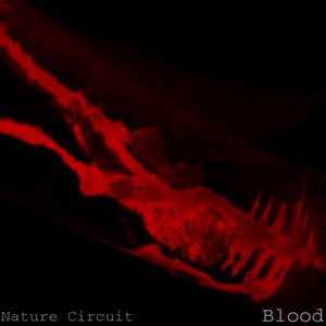 Blood