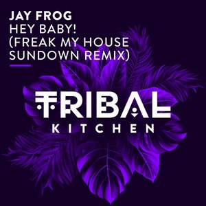 Hey Baby! (Freak My House Sundown Remix)