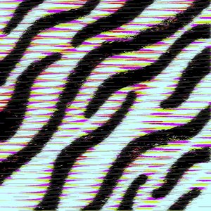 Zebra EP