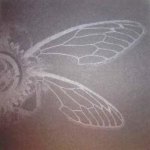 Archaeopteryx