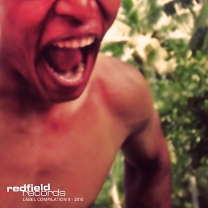 Redfield Records Label Compilation II - 2010