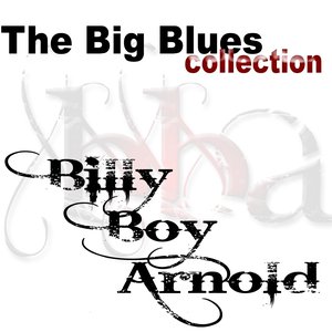 Billy Boy Arnold (The Big Blues Collection)