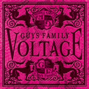 VOLTAGE