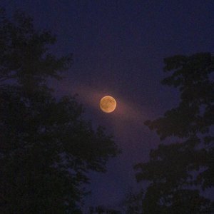 August - Single