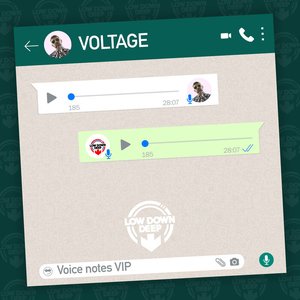 Voice Notes VIP