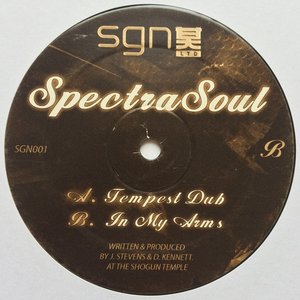 Tempest Dub / In My Arms