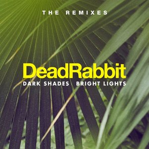 Dark Shades / Bright Lights - The Remixes