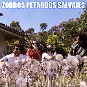 Zorros Petardos Salvajes のアバター