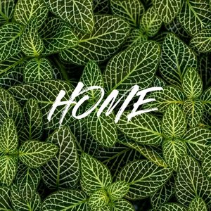 Home