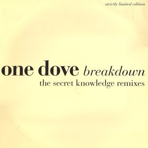 Breakdown (The Secret Knowledge Remixes)