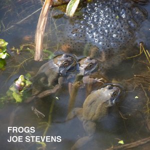 Frogs