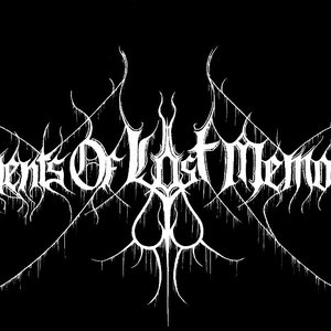 Fragments of Lost Memories 的头像