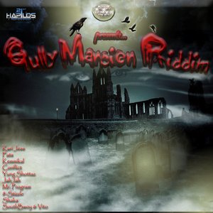 Gully Mansion Riddim