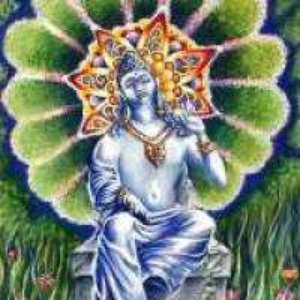 Spacegarden 的头像