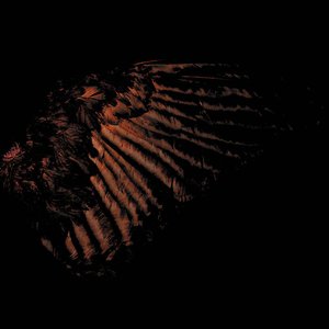 Incandescent