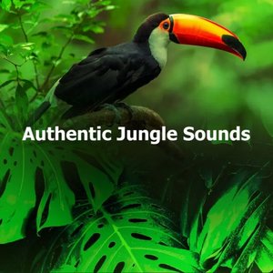 Authentic Jungle Sounds