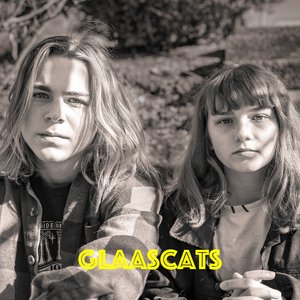Glaascats 的头像