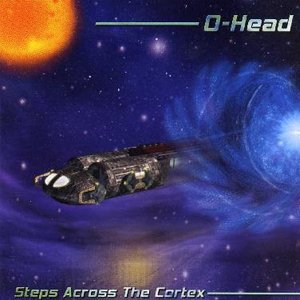 Steps Across The Cortex