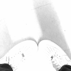 whitelist