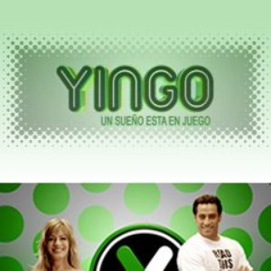 “yingo”的封面