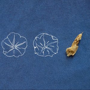 Moonflower - Single
