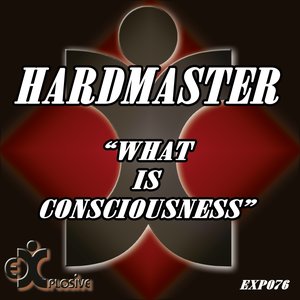 What Is Consciousness