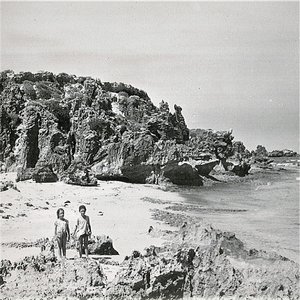 Penguin Island