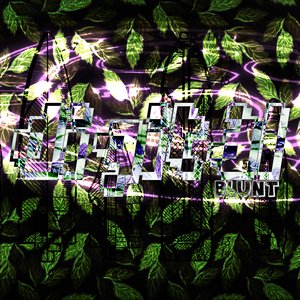 Digital Blunt