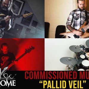 Image for 'Pallid Veil'