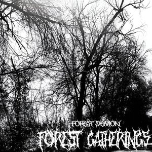 Forest Gatherings