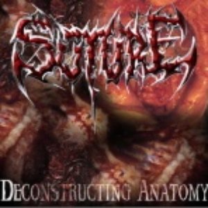 Deconstructing Anatomy