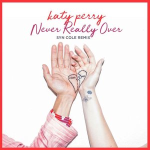 Never Really Over (Syn Cole Remix) - Single