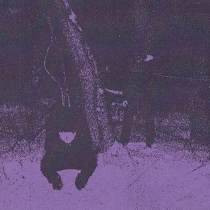 Demo II