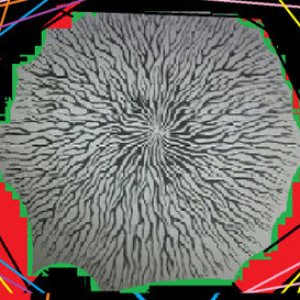 Avatar for Prout