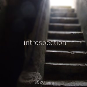 introspection