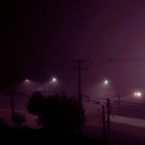 devaneio de verão 的头像